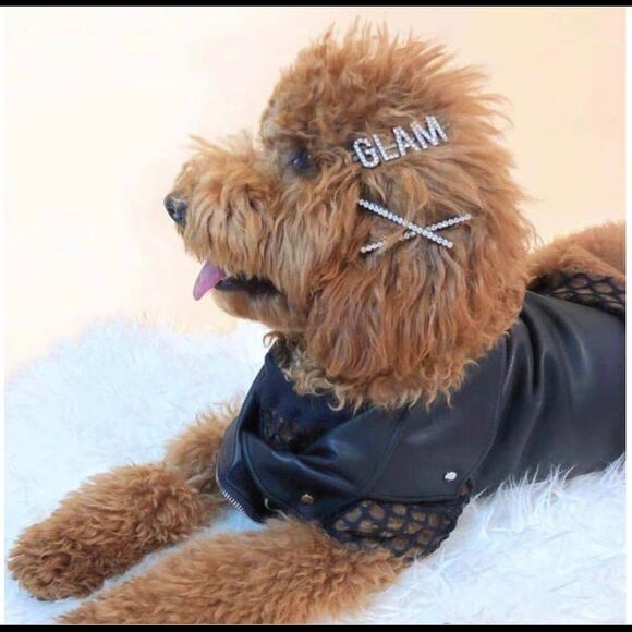 • GLAM • Crystal Hair Clip 💎 - Picture 1 of 5